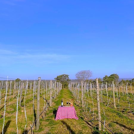 Villa Dos Pireneus 피라노폴리스 외부 사진